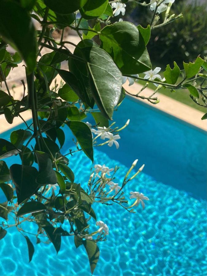 Beautiful Villa With Pool, Barbecue, And Garden Jávea エクステリア 写真